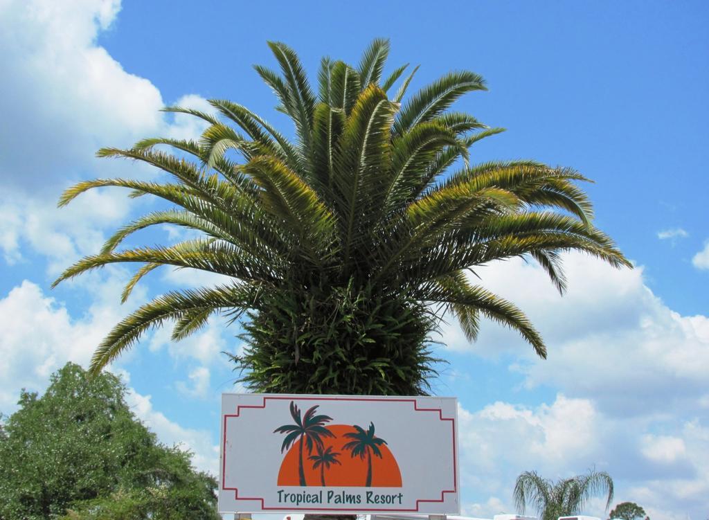 Tropical Palms Resort & Campground Kissimmee Esterno foto